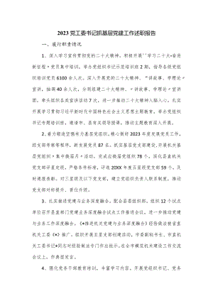 2023党工委书记抓基层党建工作述职报告.docx