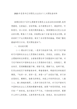 2023年县委书记专题民主生活会个人对照检查材料.docx