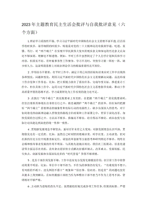 2023年主题教育民主生活会批评与自我批评意见.docx