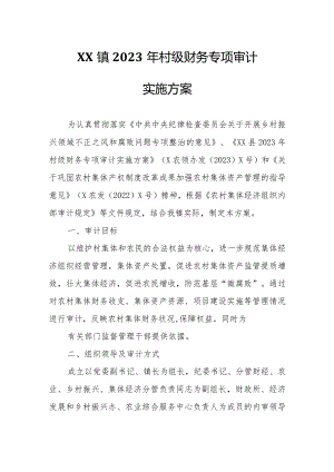 XX镇2023 年村级财务专项审计实施方案.docx