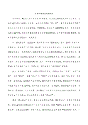 党建联建典型经验亮点.docx