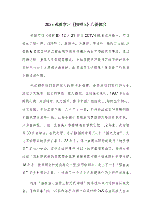 2023观看学习《榜样8》心得体会感悟范文4篇.docx