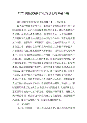 2023两新党组织书记培训心得体会8篇.docx