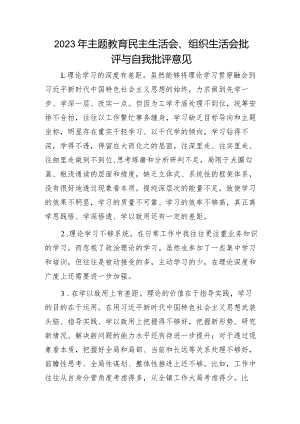 2023年主题教育生活会批评与自我批评意见20条 二.docx
