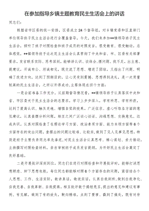 在参加指导乡镇主题教育民主生活会上的讲话.docx