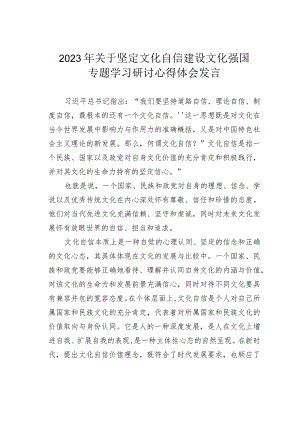 2023年关于坚定文化自信建设文化强国专题学习研讨心得体会发言.docx
