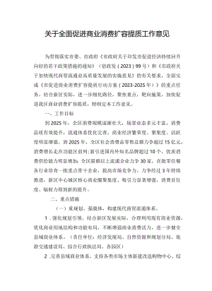 关于全面促进商业消费扩容提质工作意见.docx