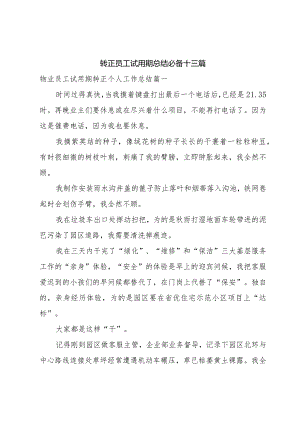 转正员工试用期总结必备十三篇.docx