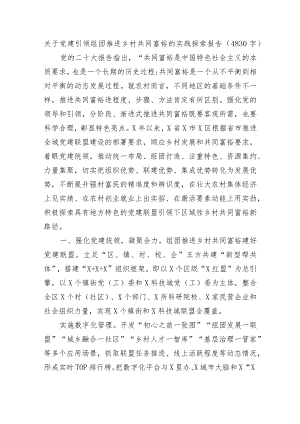 关于党建引领组团推进乡村共同富裕的实践探索报告.docx