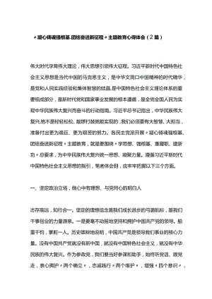 2篇“凝心铸魂强根基、团结奋进新征程”主题教育心得体会.docx