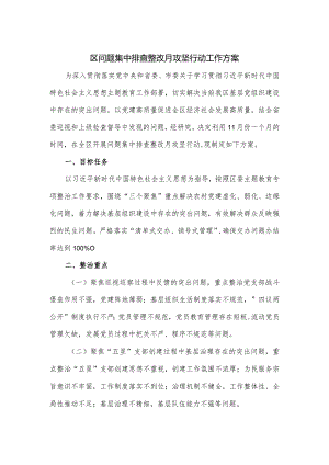区问题集中排查整改月攻坚行动工作方案.docx