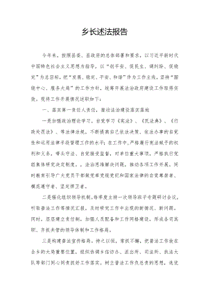 乡长述法报告.docx