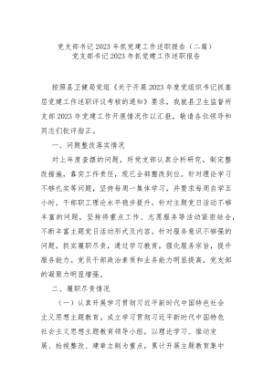 党支部书记2023年抓党建工作述职报告(二篇).docx