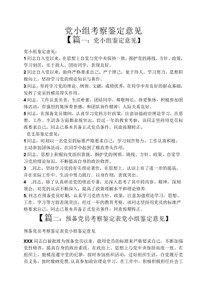 党小组考察鉴定意见.docx