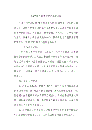 镇2023年自然资源所工作总结.docx
