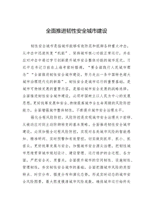 全面推进韧性安全城市建设.docx