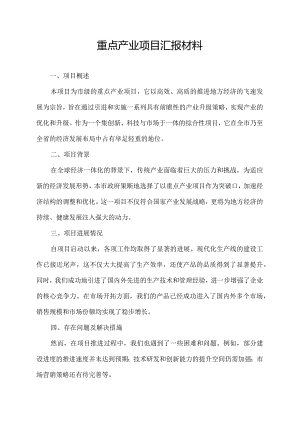 重点产业项目汇报材料.docx