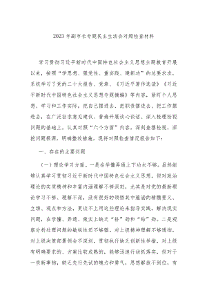 2023年副市长专题民主生活会对照检查材料.docx