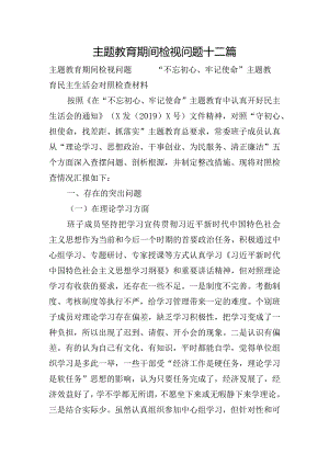 主题教育期间检视问题十二篇.docx