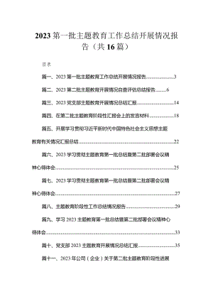 2023第一批专题教育工作总结开展情况报告精选（共16篇）.docx