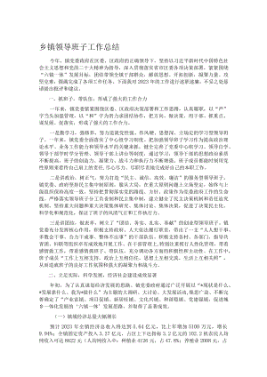 乡镇领导班子工作总结.docx