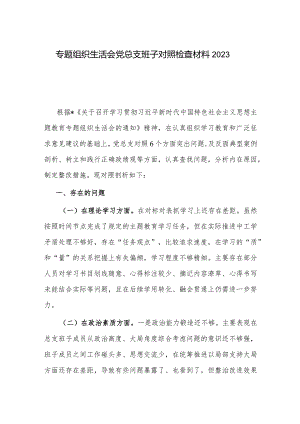 专题组织生活会党总支班子对照检查材料2023.docx