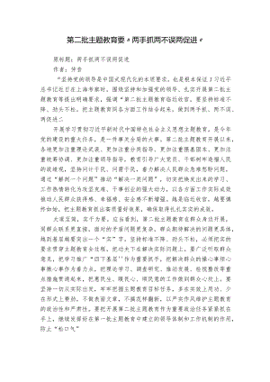 第二批主题教育要“两手抓 两不误 两促进”.docx
