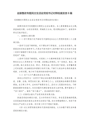 巡察整改专题民主生活会党组书记对照检查发言6篇.docx