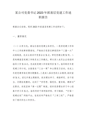 某公司党委书记2023年抓基层党建工作述职报告.docx