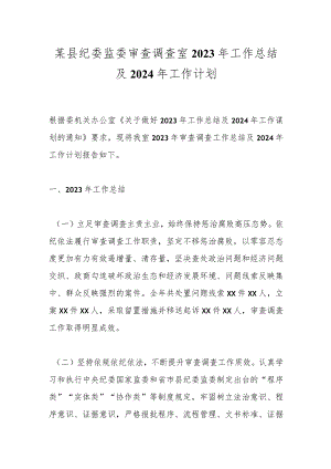 某县纪委监委审查调查室2023年工作总结及2024年工作计划.docx