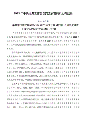 2023年中央经济工作会议交流发言稿及心得数篇.docx