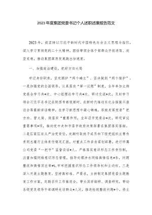 2023年度集团党委书记个人述职述廉报告范文.docx