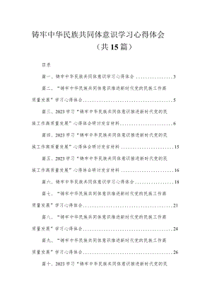 铸牢中华民族共同体意识学习心得体会15篇（精编版）.docx
