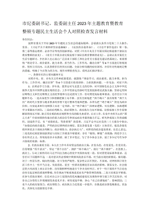 市纪委副书记、监委副主任2023年主题教育暨教育整顿专题民主生活会个人对照检查发言材料.docx