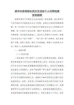 某市水务局局长民主生活会个人对照检查发言提纲.docx