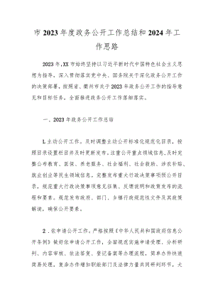 市2023年度政务公开工作总结和2024年工作思路.docx