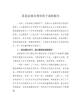 某某县委办领导班子述职报告.docx