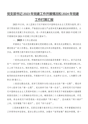 党支部书记2023年党建工作开展情况和2024年党建工作打算汇报.docx