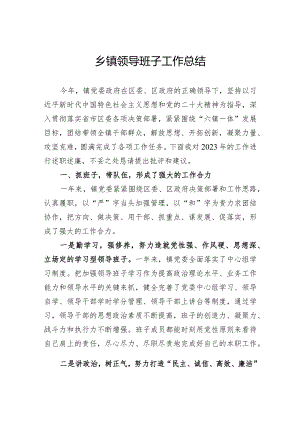 乡镇领导班子工作总结.docx