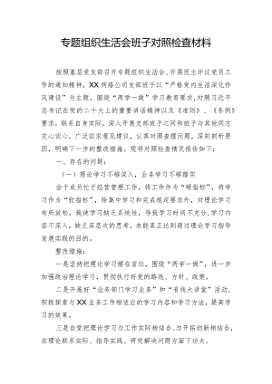 专题组织生活会班子对照检查材料范文.docx
