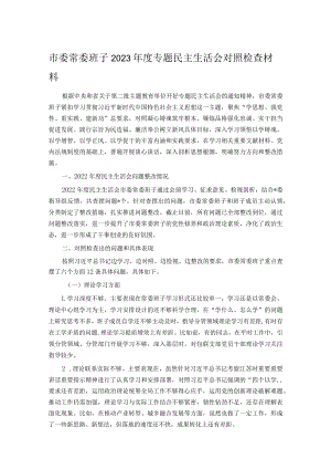 市委常委班子2023年度专题民主生活会对照检查材料.docx