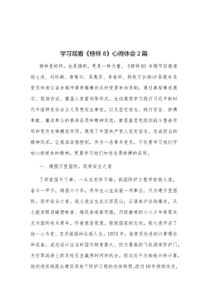 学习观看《榜样8》心得体会2篇.docx