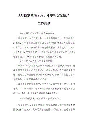 XX县水务局2023年水利安全生产工作总结.docx