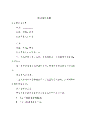 项目委托合同.docx