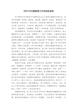 2023年主题教育工作总结及安排.docx