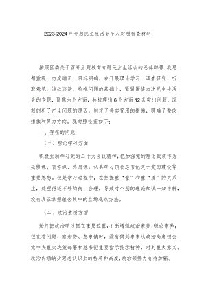 2023-2024年专题民主生活会个人对照检查材料.docx