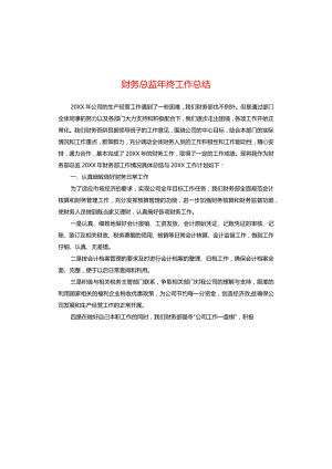 财务总监年终工作总结模板.docx