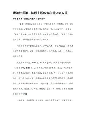 青年教师第二阶段主题教育心得体会6篇.docx