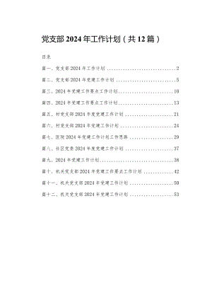 党支部2024年工作计划范文精选(12篇).docx