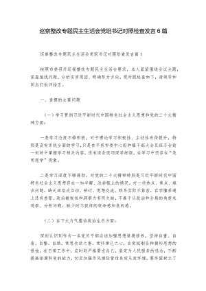 巡察整改专题民主生活会党组书记对照检查发言6篇_1.docx